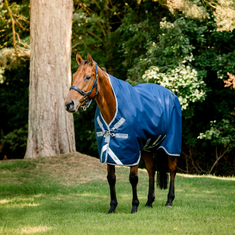 Horseware - Couverture d'extérieur Amigo Wug Turnout marine/ titanium grey/ argent 50g | - Ohlala