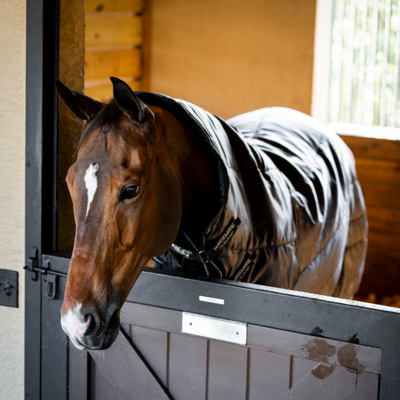 Horseware - Couverture de box Amigo Ripstop Insulator Plus Stable noir/ argent 350g | - Ohlala
