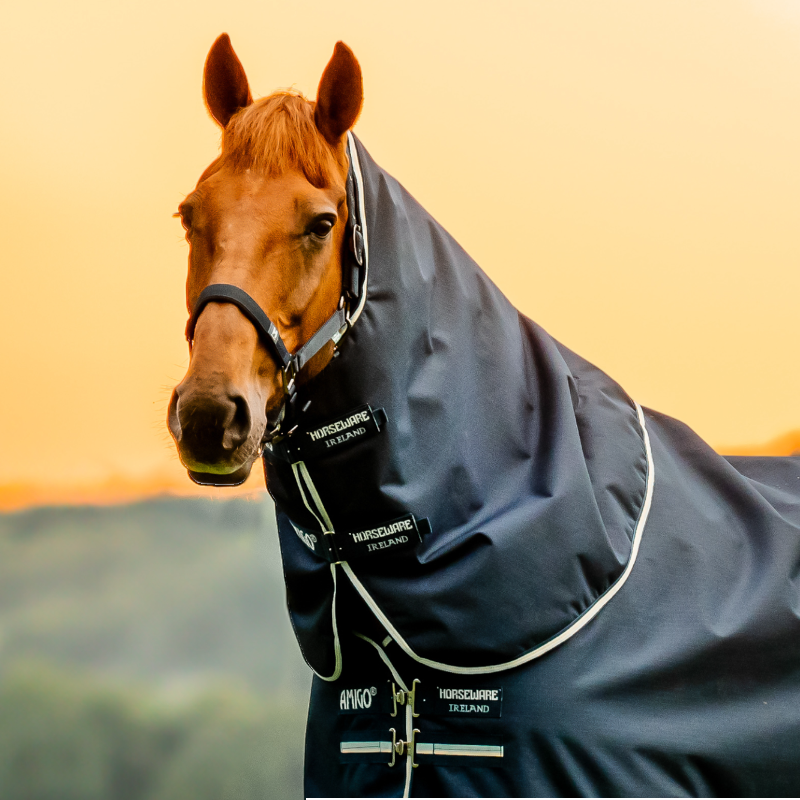 Horseware - Couvre-cou Amigo Ripstop Turnout witney navy 150g | - Ohlala