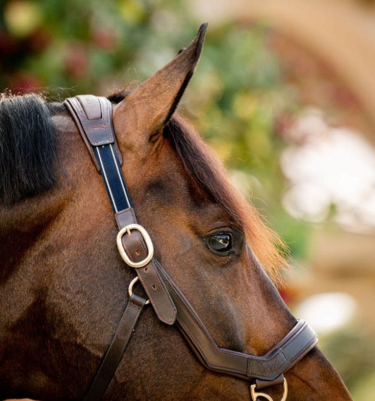 Horseware - Licol en cuir Rambo Micklem havane | - Ohlala
