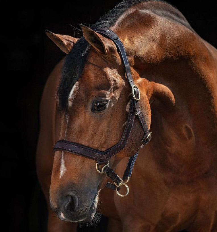 Horseware - Licol en cuir Rambo Micklem havane | - Ohlala