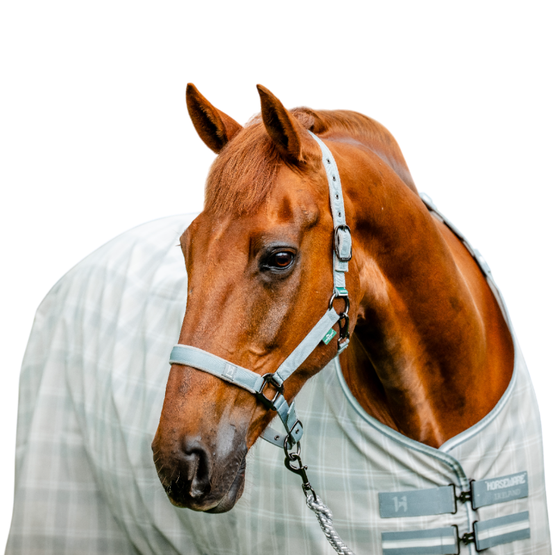 Horseware - Licol et longe Newmarket witney charcoal | - Ohlala