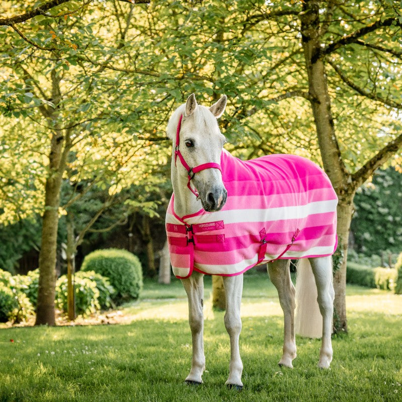 Horseware - Licol et longe Newmarket witney pink | - Ohlala