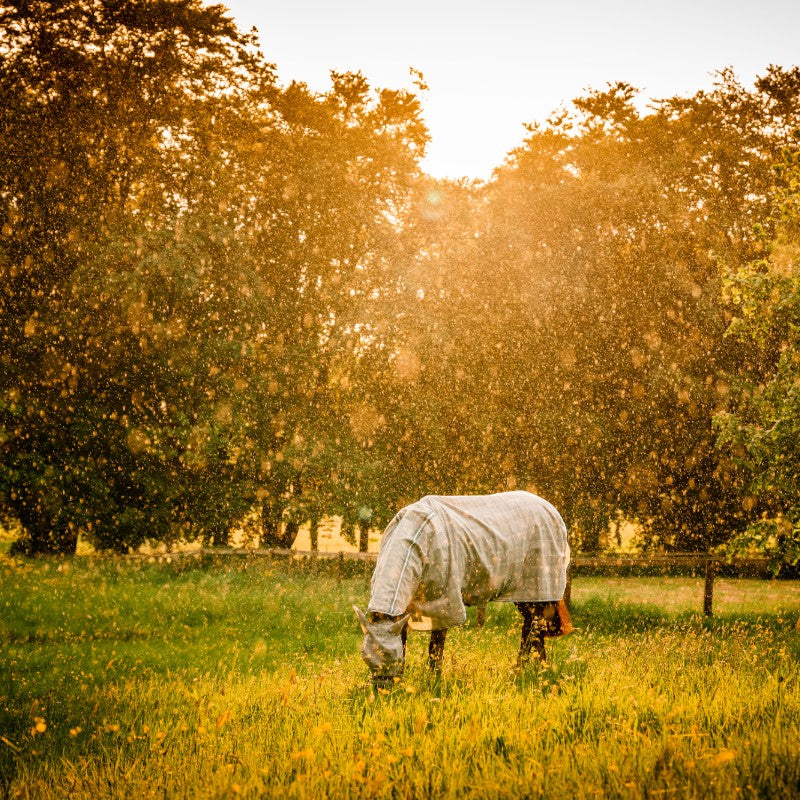 Horseware - Masque anti-mouches Newmarket witney charcoal | - Ohlala