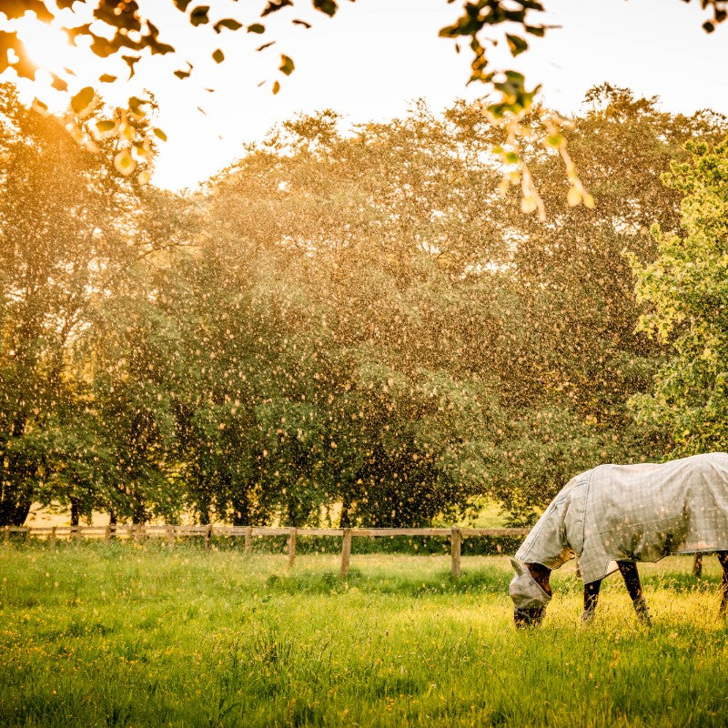 Horseware - Masque anti-mouches Newmarket witney charcoal | - Ohlala