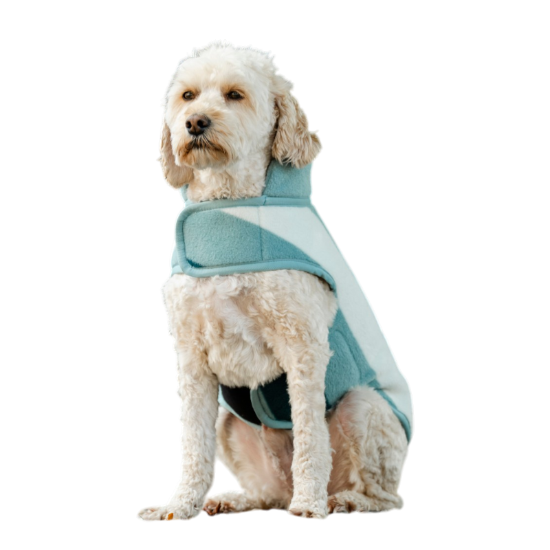 Horseware - Couverture pour chien Newmarket witney dynasty | - Ohlala