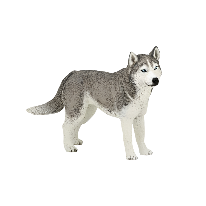 Papo - Figurine Husky de Sibérie | - Ohlala