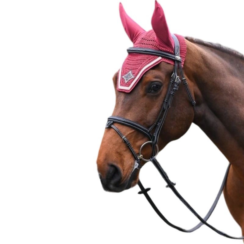 Jump'In - Bonnet chevaux Écusson bordeaux et champagne | - Ohlala