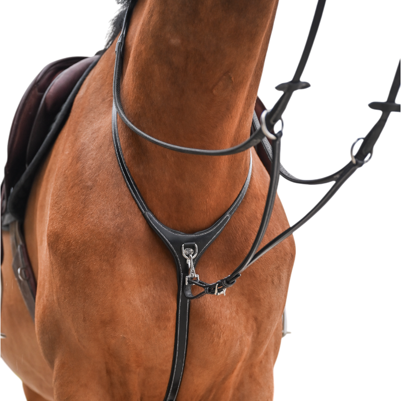 Jump'In - Collier et martingale One Premium havane | - Ohlala