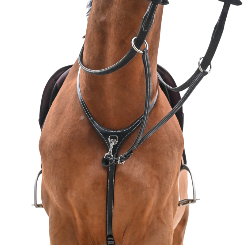 Jump'In - Collier et martingale One Premium havane | - Ohlala