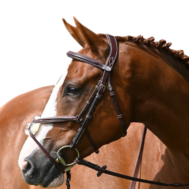 Jump'In - Bridon Tuesday muserolle croisée collection Week havane | - Ohlala