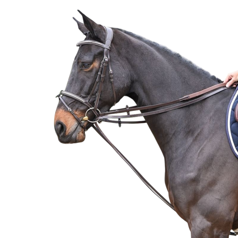 Jump'In - Rênes allemandes en cuir plat Week havane | - Ohlala
