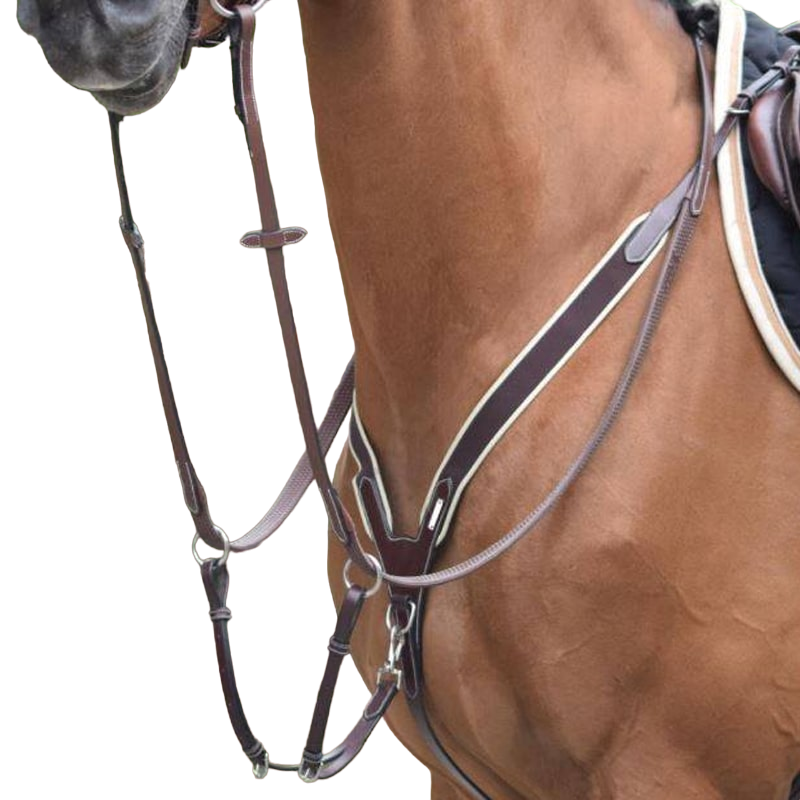Jump'In - Collier de chasse élastique + martingale One Noir | - Ohlala