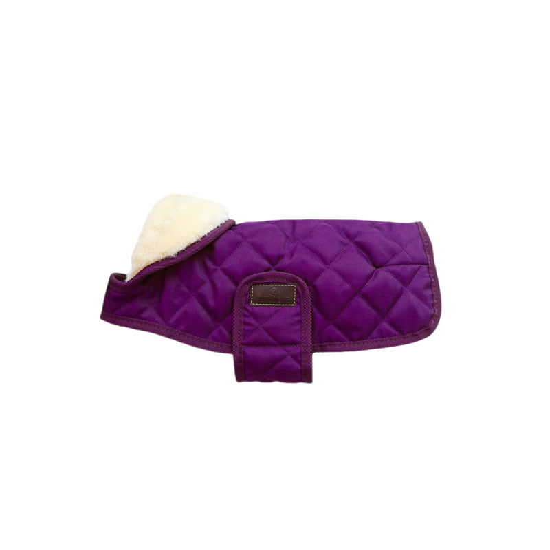 Kentucky Dogwear - Original Royal Purple Dog Coat