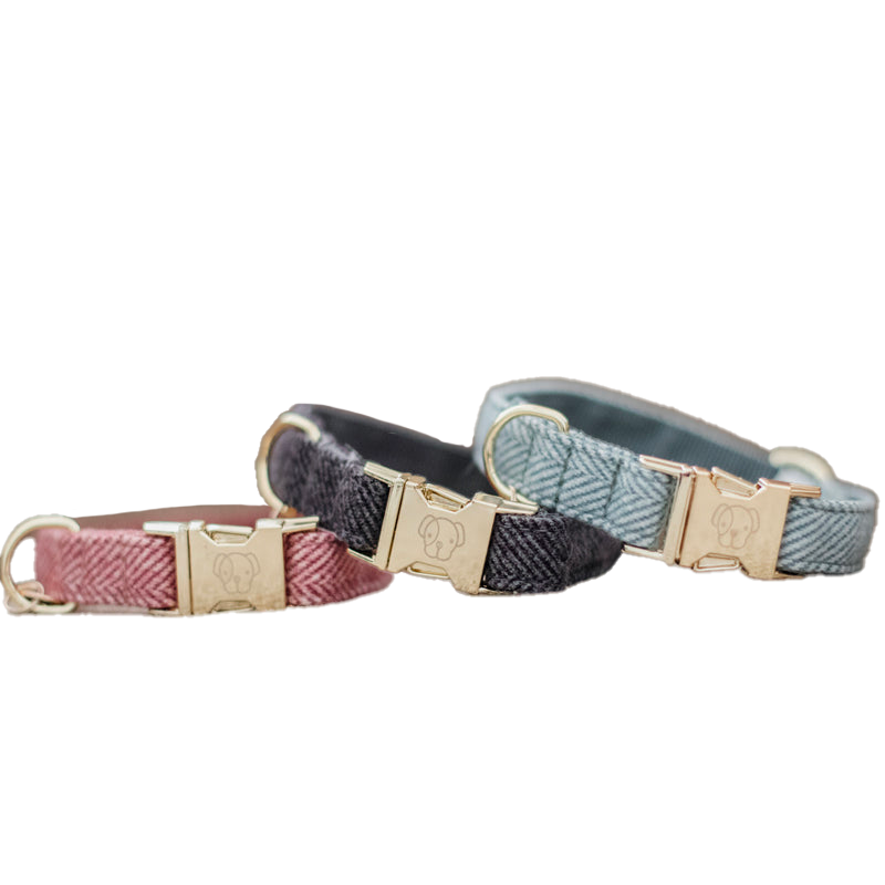 Kentucky Dogwear - Collier pour chiens Wool bleu clair | - Ohlala