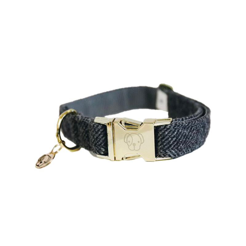 Kentucky Dogwear - Collier pour chiens Wool gris | - Ohlala