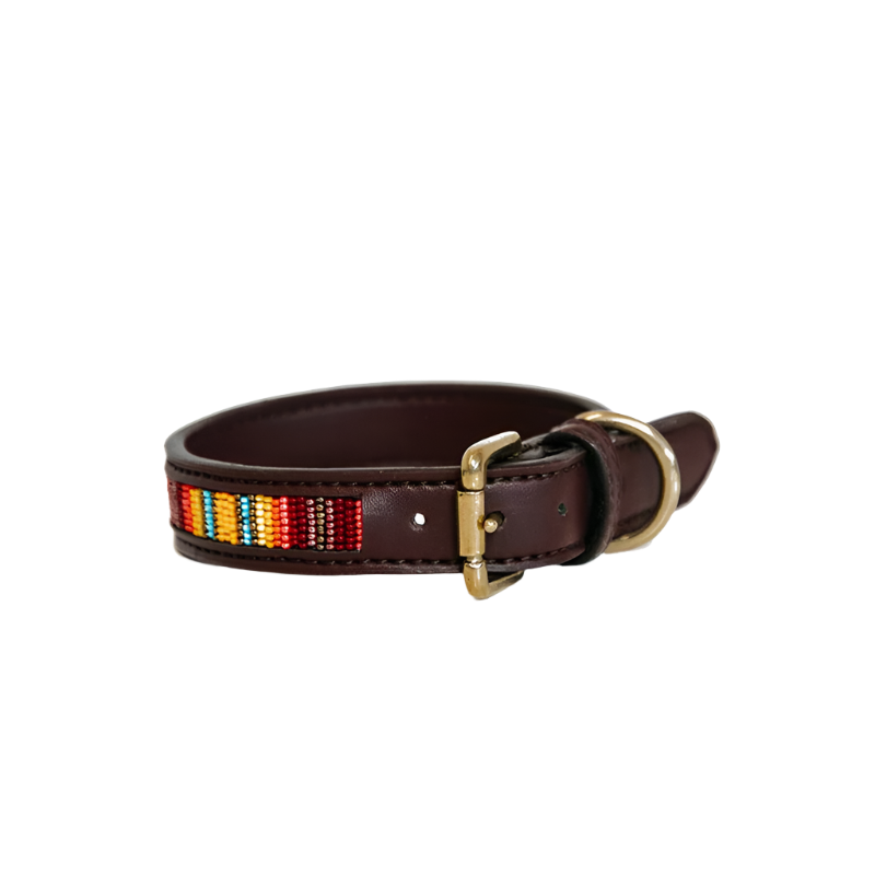 Kentucky Dogwear - Collier pour chiens perles faites main orange | - Ohlala