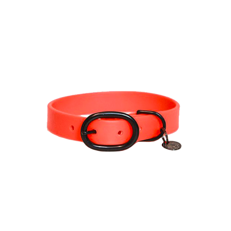 Kentucky Dogwear - Orangefarbenes Hundehalsband aus weichem Gummi