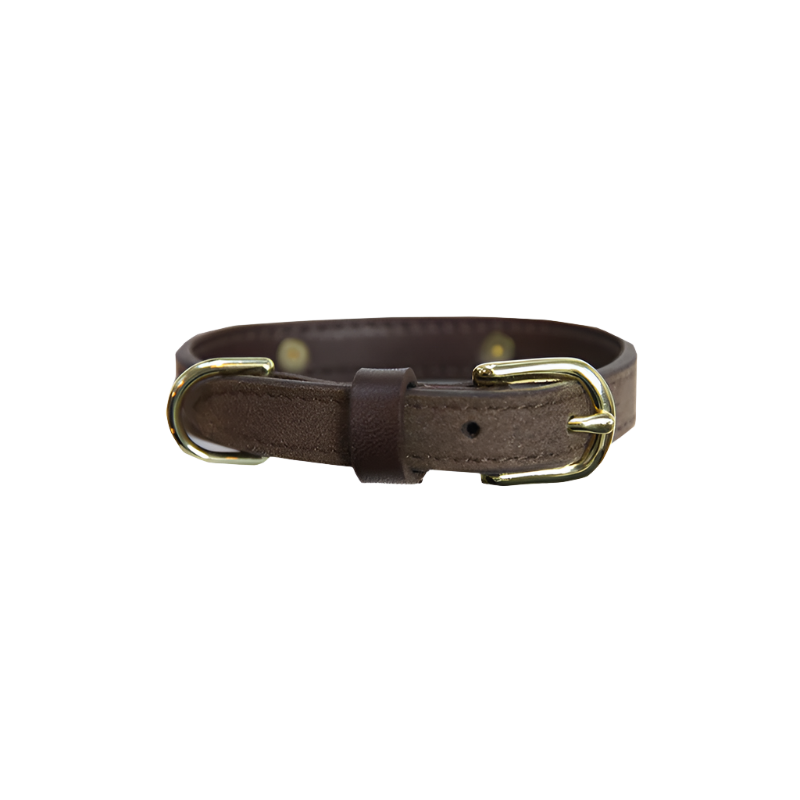 Kentucky Dogwear - Colliers pour chiens Velvet Marron | - Ohlala