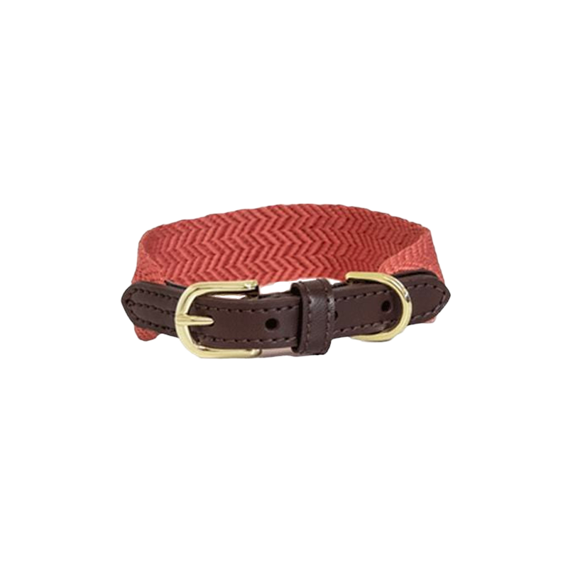 Kentucky Dogwear - Collier pour chien Jacquard terre cuite | - Ohlala
