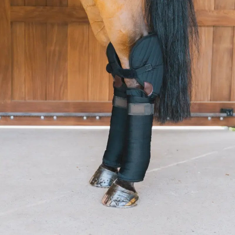 Kentucky Horsewear - Protections de transport noir (x2)