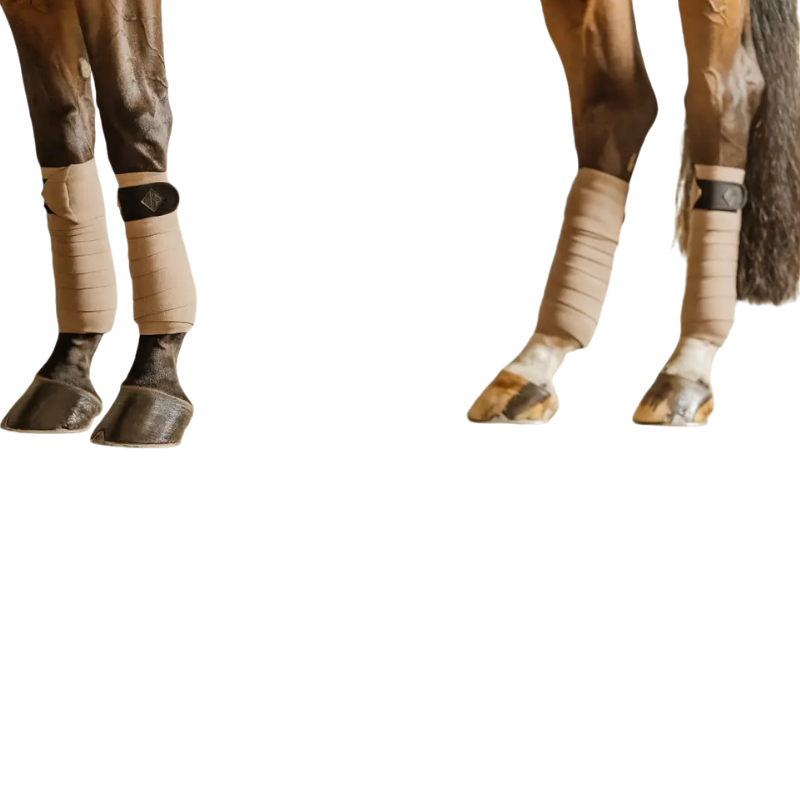Kentucky Horsewear - Bandes de polo polaire Show Vegan Wool beige (x4) | - Ohlala