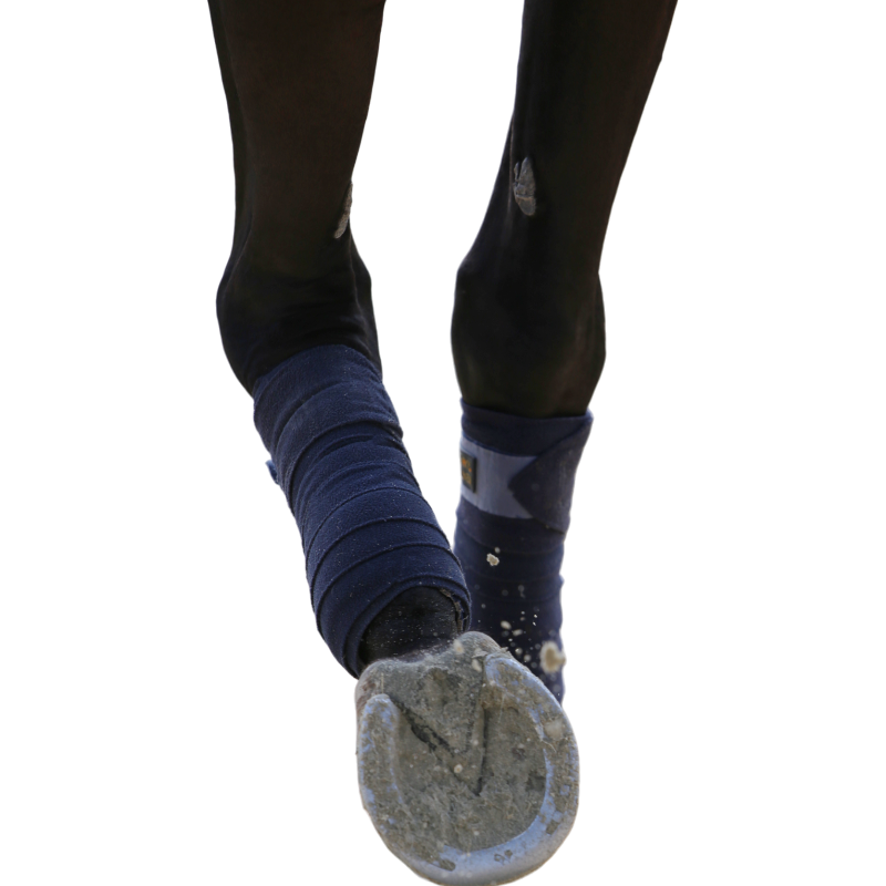 Kentucky Horsewear - Bandes de polo polaire Show Vegan Wool marine (x4) | - Ohlala