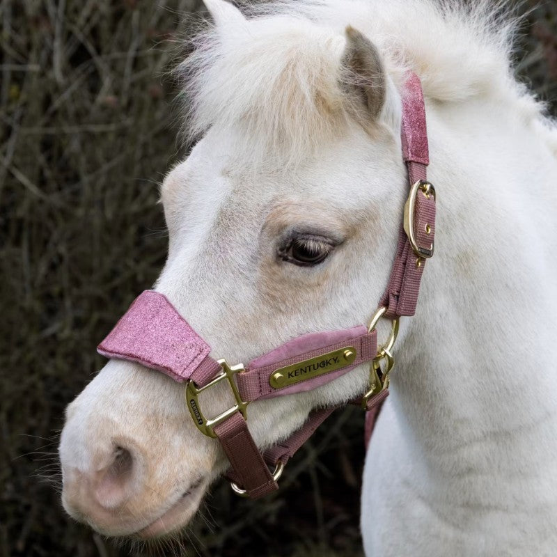 Kentucky Horsewear - Licol velvet paillette vieux rose | - Ohlala