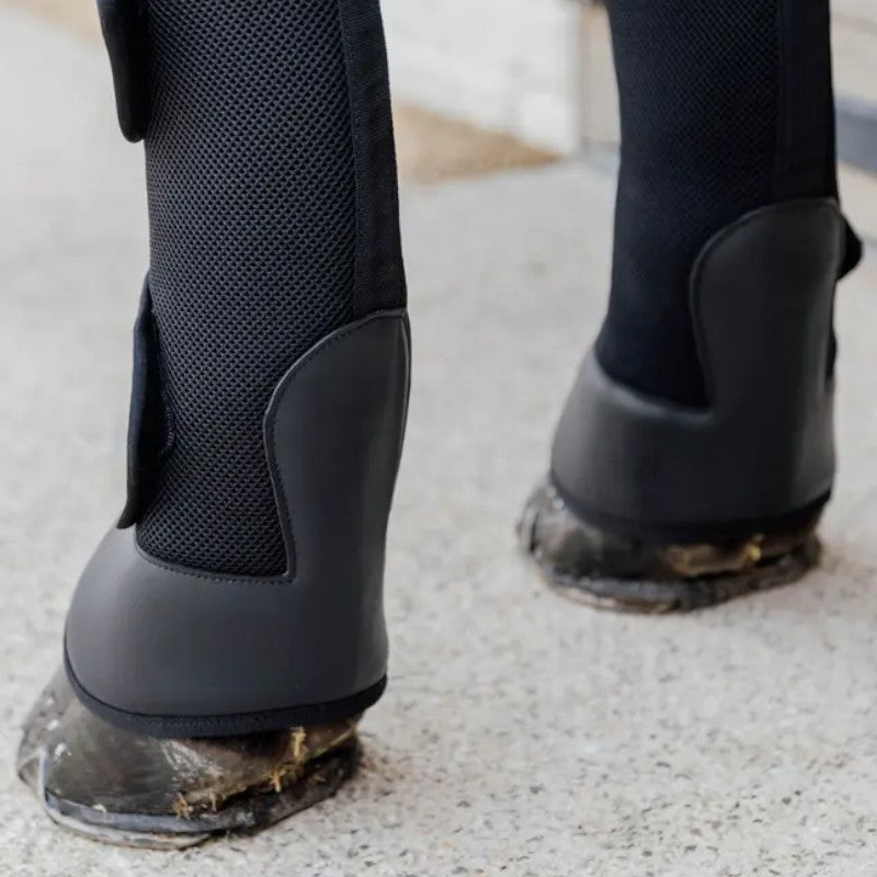 Kentucky Horsewear - Protections de transport antérieurs (x2) | - Ohlala