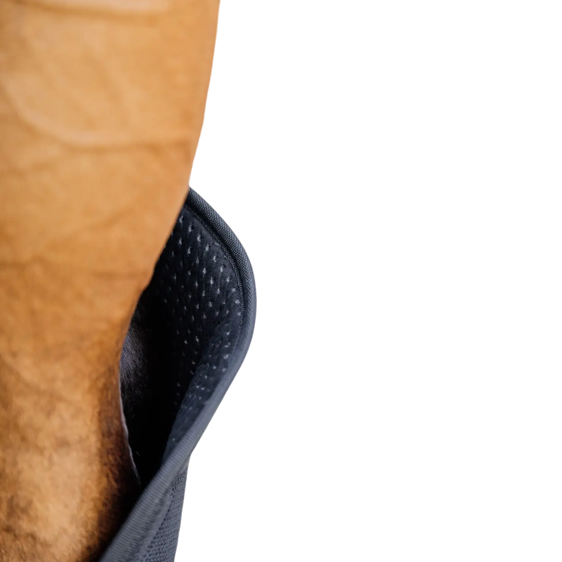 Kentucky Horsewear - Protections de transport postérieurs (x2) | - Ohlala