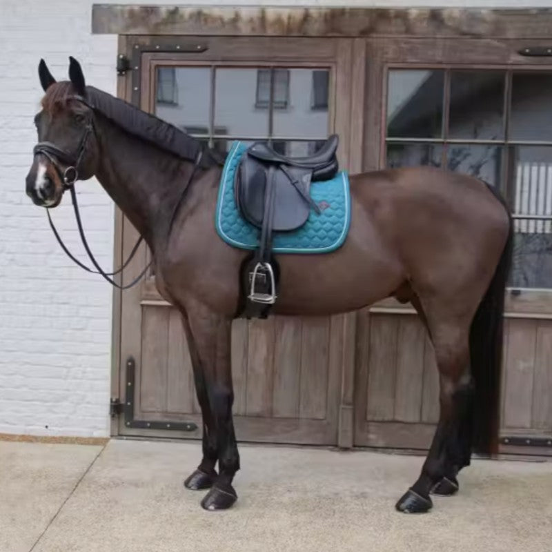 Kentucky Horsewear - Green fir mélange dressage rug