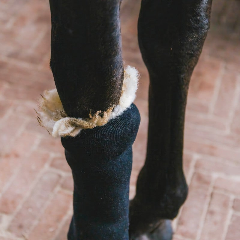 Grooming Deluxe - Laine thérapeutique | - Ohlala