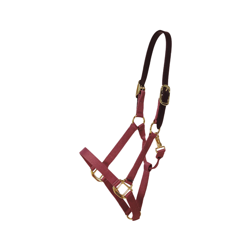 Kentucky Horsewear - Licol nylon Breakaway bordeaux | - Ohlala