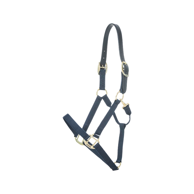 Kentucky Horsewear - Licol nylon Breakaway marine | - Ohlala