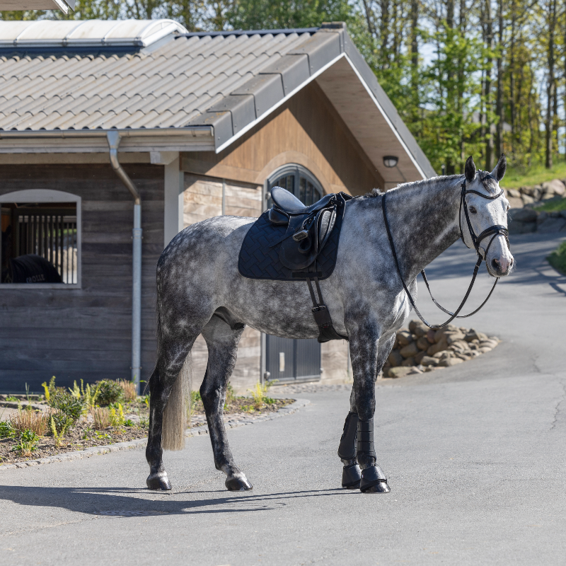 Kingsland - Tapis de dressage KLLexie noir | - Ohlala