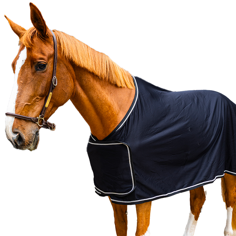 Kentucky Horsewear - Präsentationsdecke Prize Giving Cooler marine