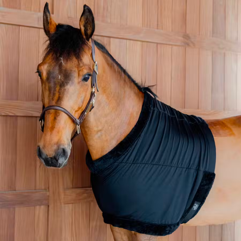 Kentucky Horsewear - Protège poitrail noir | - Ohlala