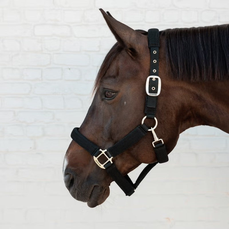 Kentucky Horsewear - Licol pour chevaux Halter noir | - Ohlala