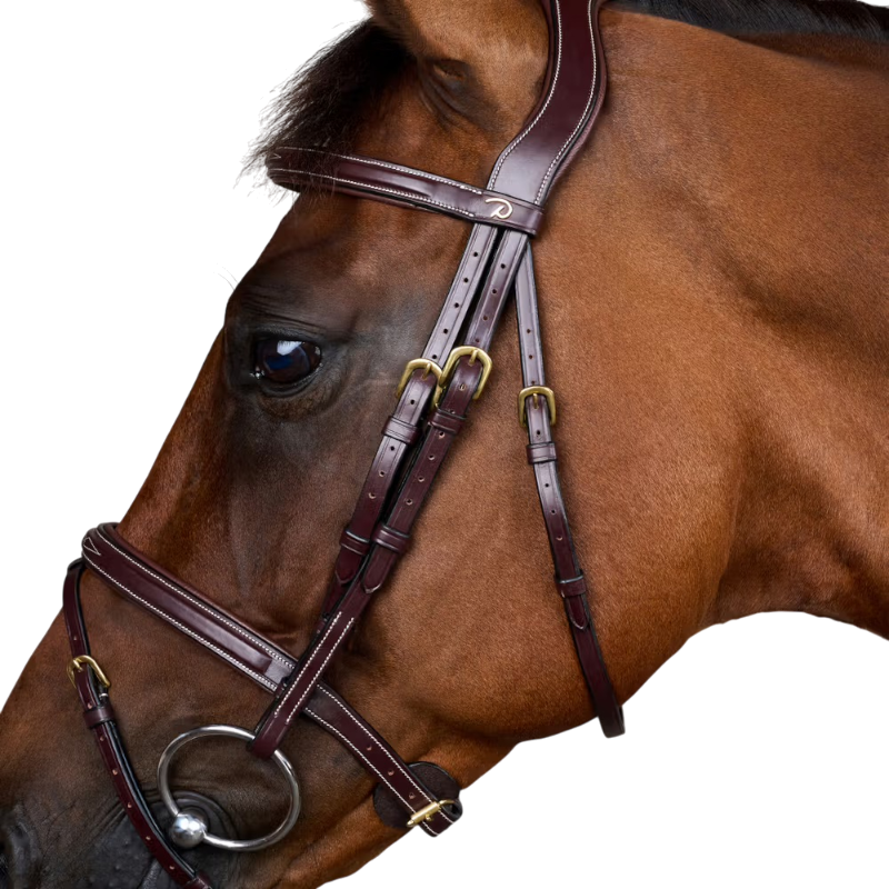 Dyon - Combined noseband bridle Dy'on Brown Collection