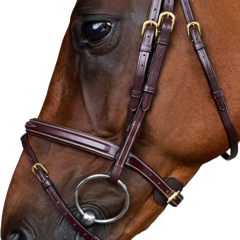 Dyon - Combined noseband bridle Dy'on Brown Collection