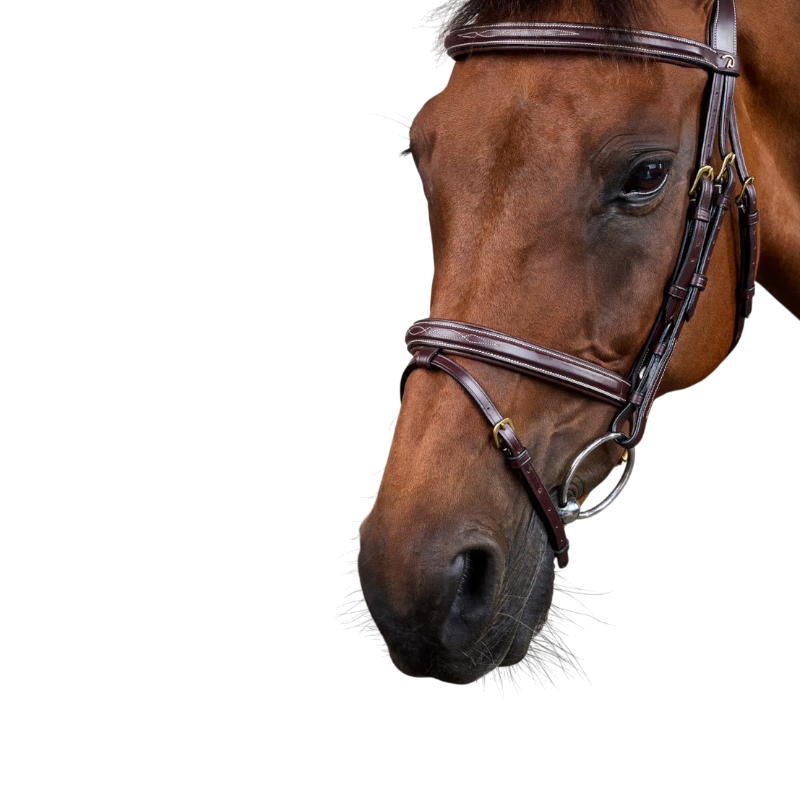 Dyon - Combined noseband bridle Dy'on Brown Collection
