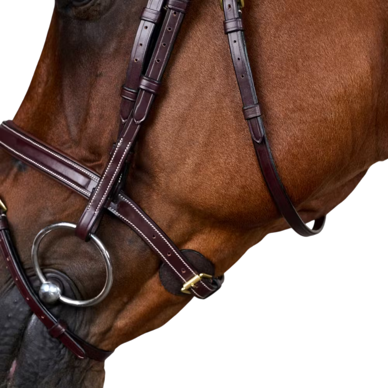 Dyon - Combined noseband bridle Dy'on Brown Collection