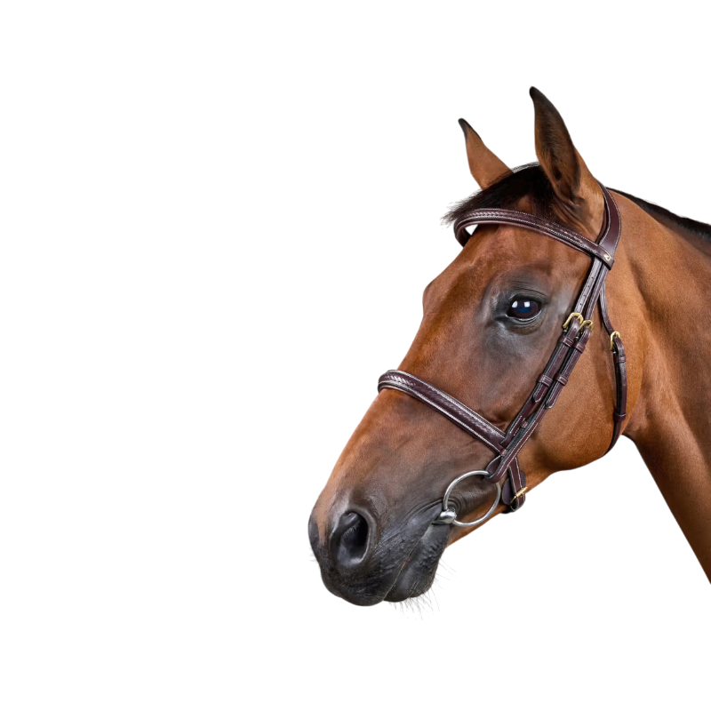 Dyon - Dy'on Collection braided bridle brown