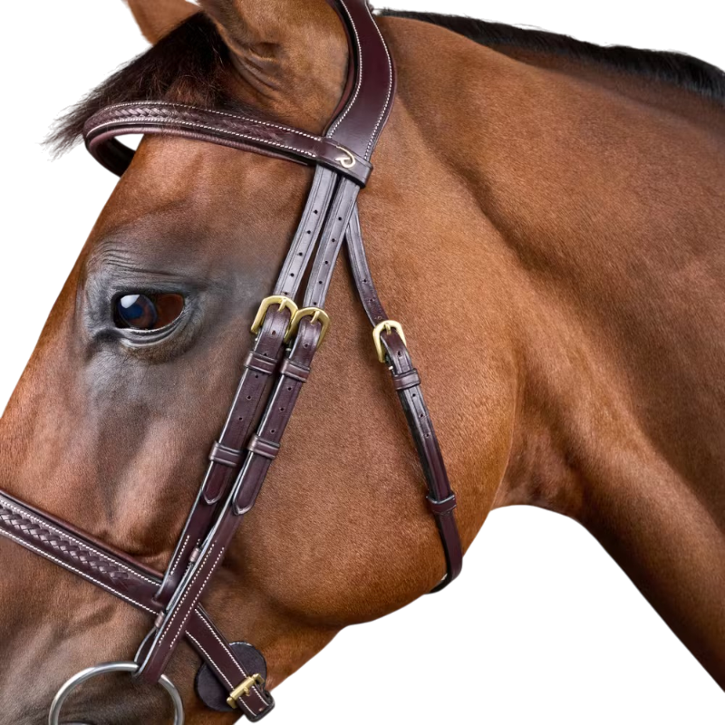 Dyon - Geflochtener Zaum Dy'on Kollektion braun
