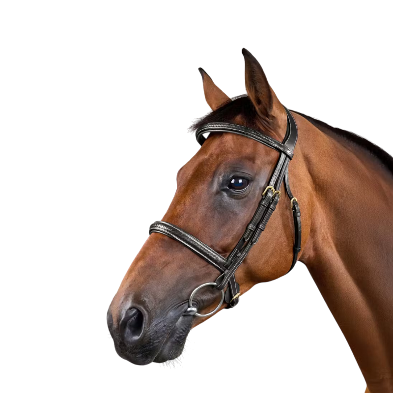 Dyon - Vlechtte teugels Dy'on Collectie zwart