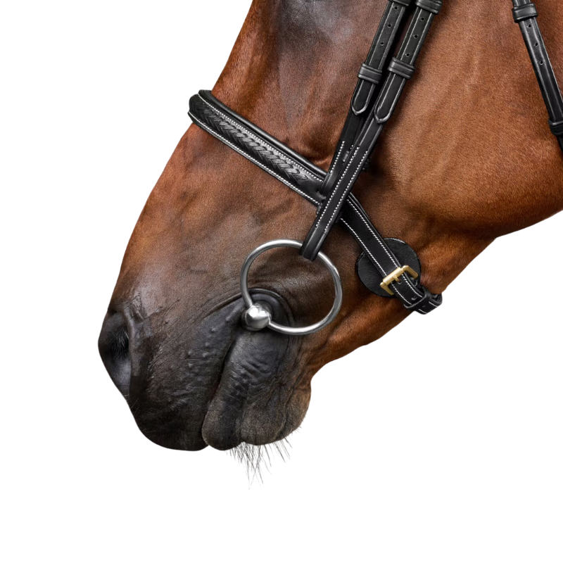 Dyon - Vlechtte teugels Dy'on Collectie zwart