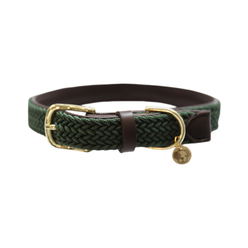 Kentucky Dogwear - Colliers pour chiens vert olive | - Ohlala