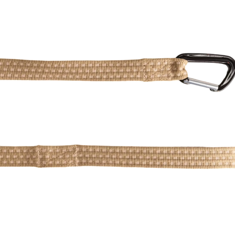 Kentucky Horsewear - Longe de travail 8m beige | - Ohlala