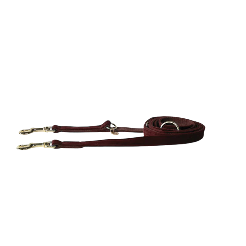 Kentucky Dogwear - Laisse de chien velvet bordeaux 2m | - Ohlala