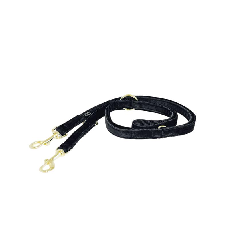 Kentucky Dogwear - Laisse pour chien Velvet 2m noir | - Ohlala